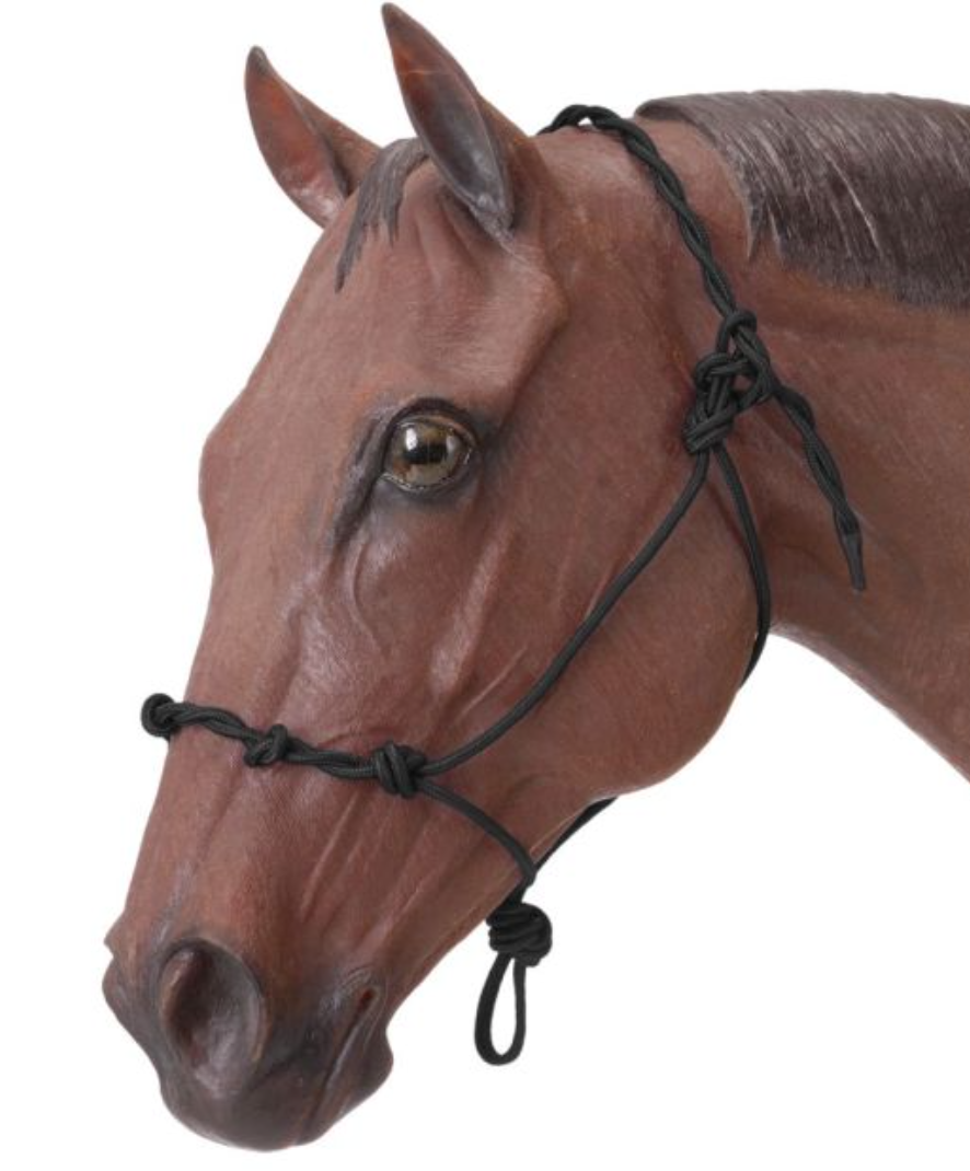 Rope Training Halter With Knots