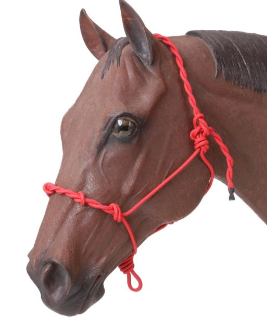 Rope Training Halter With Knots