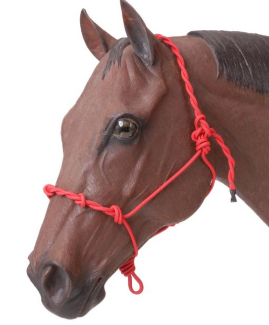 Rope Training Halter With Knots