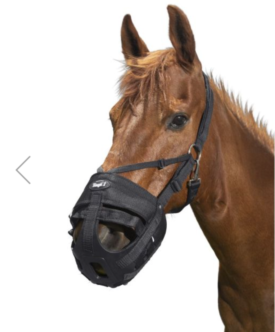 Easy Breath V-Nose Muzzle- Horse