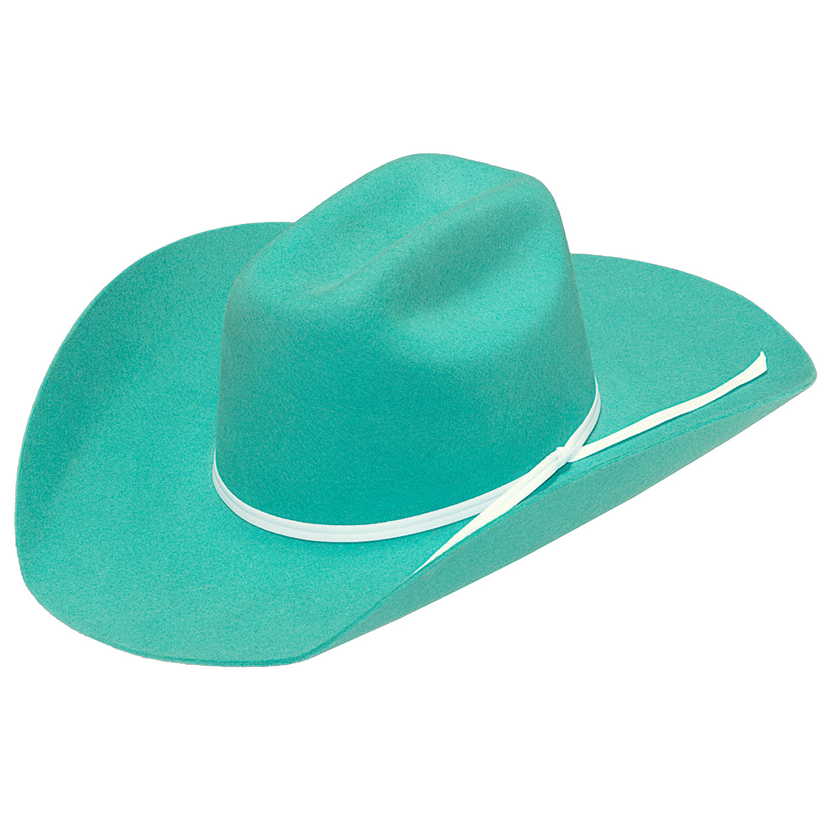 Twister Kid's Turquoise Felt Hat